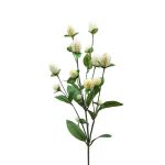 Ramo decorativo di amaranto THUSNELDA, crema-bianco, 70 cm