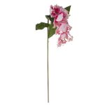Ramo di fiori artificiali Medinilla LASENTER, rosa, 110 cm