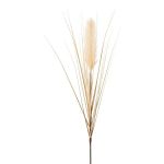 Piuma di erba della pampa artificiale WALNIN, beige, 100 cm