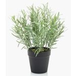 Erbe aromatiche artificiali rosmarino WHOOPI in vaso decorativo, verde, 25 cm