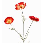 Ramo decorativo con fiori di margherita BRALTO, arancione, 80 cm
