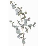 Ramo di eucalipto artificiale ILMO, grigio-verde, 85cm
