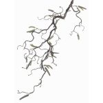 Ramo di nocciolo sintetico XANCHO, con amenti, marrone, 65cm, Ø0,5cm