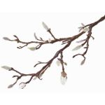 Ramo di magnolia artificiale ASANI, bianco, 70cm, Ø1-2cm