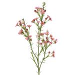 Ramo decorativo con fiori di cera FRINDALS, rosa scuro, 65 cm