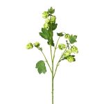 Ramo artificiale con fiori DRIHOL, verde, 75 cm