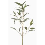 Ramo artificiale Eucalipto JURKA con frutti, verde-grigio, 90 cm