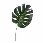 Foglia di monstera finta UMBERTO, verde, 55cm