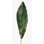 Foglia di aspidistra sintetica PAISA, 75cm