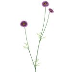 Fiori decorativi ramo Bellis NIKSA, viola scuro, 55 cm