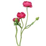 Ramo artificiale di ranuncoli JIXIANG, rosa, 50 cm