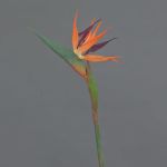 Strelitzia artificiale WEIYU, arancione-viola, 60 cm