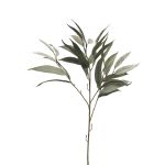 Ramo decorativo di mango WENLIAN, verde-grigio, 75cm