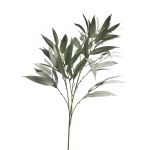 Ramo decorativo di mango WANLIN, verde-grigio, 100cm