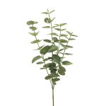 Ramo artificiale di eucalipto MINJIA, verde-grigio, 65 cm