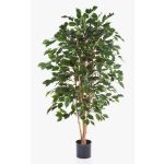 Ficus exotica artificiale THIAGO, tronchi naturali, verde, 120cm