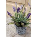 Lavanda finta KIRSA in cestino di vimini, viola, 30cm