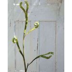 Ramo di salice drago artificiale ADELFOS, verde, 85cm