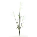 Ramo artificiale di erba della pampa LINEN con pannocchie, bianco, 145 cm