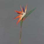 Strelitzia di plastica ZAMIRA, arancione-viola, 95cm, 16x30cm