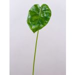 Foglia finta di anturio GÜLSAH, verde, 65cm