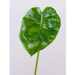 Foglia finta di anturio GÜLSAH, verde, 65cm