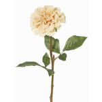 Fiore artificiale dalia BREDANA, beige, 60cm, Ø11cm