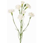 Ramo finto garofano PIARA, bianco, 60 cm, Ø 2-5 cm