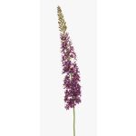 Grande fiore artificiale candela della steppa NITTI, viola, 130 cm