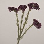Fiore artificiale lavanda AYISHA, effetto secco, rosso bordeaux, viola scuro, 65cm, 3,5x6cm