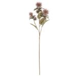Ramo di cardo plastico VALDISOLI, effetto secco, rosa antico, 55 cm