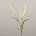 Ramo decorativo di erba Liriope JELIKANTA con pannocchie, verde crema, 75 cm