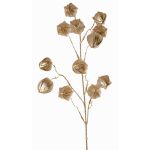 Ramo decorativo di physalis DUGONG con frutti, dorato, 90cm