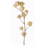Ramo artificiale di physalis AINOS, frutti, glitter, crema, 80cm