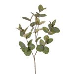 Ramo artificiale eucalipto EMMENDA, verde, 80 cm