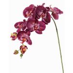 Ramo decorativo orchidea Phalaenopsis WESA, viola scuro-bianco, 90cm, Ø11-12,5cm