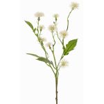 Fiore di campo artificiale HOLLA, bianco, 55cm, Ø3-4cm