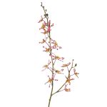 Ramo di orchidea Cattleya artificiale TRASSA, rosa-bianco-giallo, 80 cm