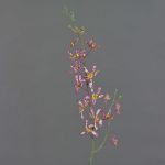 Ramo di orchidea Cattleya artificiale TRASSA, rosa-bianco-giallo, 80 cm