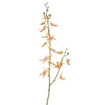 Ramo di orchidea Cattleya artificiale TRASSA, arancione-giallo-rosso, 80cm, Ø4-8cm