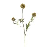 Ramo decorativo a stella Scabiosa RANIK, verde, 70cm