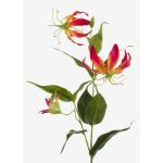 Gloriosa superba artificiale FUJITA, fucsia-giallo, 80cm, Ø15cm