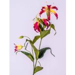 Gloriosa superba artificiale FUJITA, fucsia-giallo, 80cm, Ø15cm