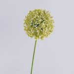 Allium artificiale HELLA, glitter, crema-verde, 75cm, Ø11cm