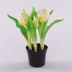 Tulipano artificiale CAITLYN in vaso decorativo, bianco-verde, 25cm, Ø2-6cm