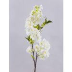 Ramo di ciliegio finto MATSUDA con fiori, crema-bianco, 80cm, Ø6-11cm