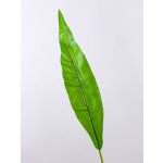 Foglia di felce a nido artificiale CESAR, verde, 95cm