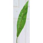 Foglia di felce a nido artificiale CESAR, verde, 95cm