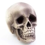 Teschio per decorazione di Halloween MATTY, beige-grigio, LED, 21x15x16cm