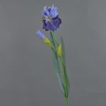 Iris artificiale ALYSSA, blu, 70cm, Ø13cm